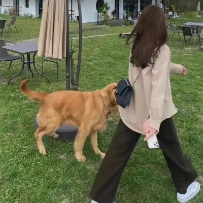 绝命法官国语